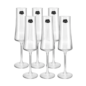 Conjunto de Taças para Champagne Com 6 Unidades De 210ml Em Cristal De Titânio - Xtra Optic Bohemia